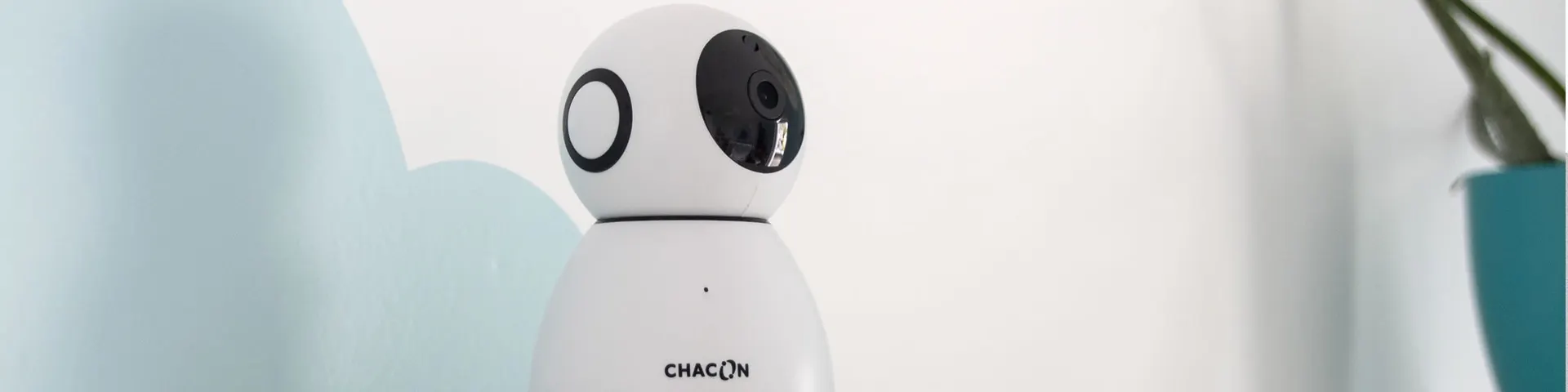 Cabasse Group - IPCAM - Chacon ri